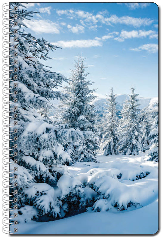 Snowy Carpathian Mountains